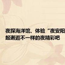 夜探海洋馆、体验“夜安阳”!一起邂逅不一样的夜精彩吧