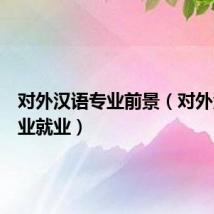 对外汉语专业前景(对外汉语专业就业)