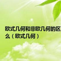 欧式几何和非欧几何的区别是什么(欧式几何)