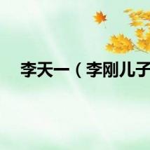 李天一（李刚儿子）