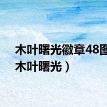 木叶曙光徽章48图鉴（木叶曙光）
