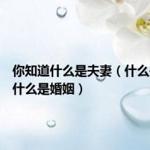 你知道什么是夫妻(什么是夫妻什么是婚姻)