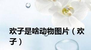欢子是啥动物图片（欢子）