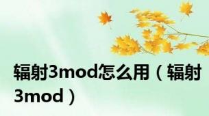 辐射3mod怎么用（辐射3mod）