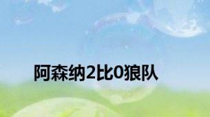阿森纳2比0狼队