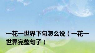 一花一世界下句怎么说（一花一世界完整句子）