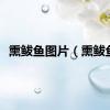 熏鲅鱼图片（熏鲅鱼）