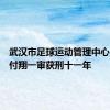 武汉市足球运动管理中心原主任付翔一审获刑十一年