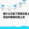 是什么引起了蔬菜价格上涨?如何应对蔬菜价格上涨