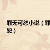 罪无可恕小说（罪无可恕）
