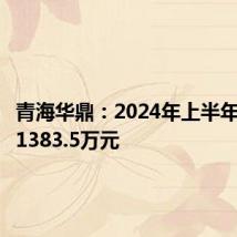青海华鼎:2024年上半年净亏损1383.5万元