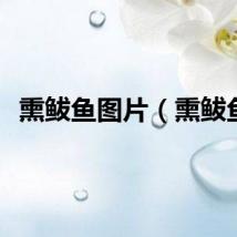 熏鲅鱼图片（熏鲅鱼）