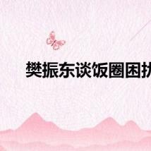 樊振东谈饭圈困扰