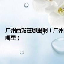 广州西站在哪里啊（广州西站在哪里）