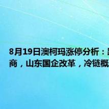 8月19日澳柯玛涨停分析:跨境电商,山东国企改革,冷链概念热股