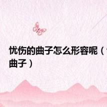 忧伤的曲子怎么形容呢(忧伤的曲子)