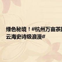 绿色秘境!#杭州万亩茶园朝霞云海史诗级浪漫#