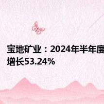 宝地矿业:2024年半年度净利润增长53.24%