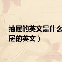 抽屉的英文是什么(抽屉的英文)