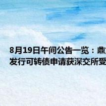 8月19日午间公告一览:鼎龙股份发行可转债申请获深交所受理