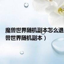 魔兽世界随机副本怎么退出（魔兽世界随机副本）
