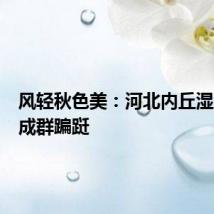 风轻秋色美：河北内丘湿地水鸟成群蹁跹