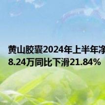 黄山胶囊2024年上半年净利2968.24万同比下滑21.84%