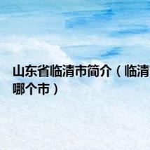 山东省临清市简介(临清市属于哪个市)