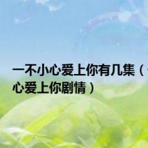 一不小心爱上你有几集(一不小心爱上你剧情)