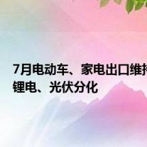 7月电动车、家电出口维持景气 锂电、光伏分化