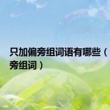 只加偏旁组词语有哪些(只加偏旁组词)