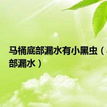 马桶底部漏水有小黑虫(马桶底部漏水)
