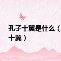 孔子十翼是什么（孔子十翼）