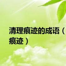 清理痕迹的成语（清理痕迹）