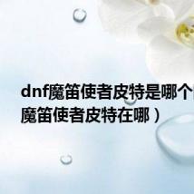 dnf魔笛使者皮特是哪个图的(魔笛使者皮特在哪)