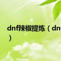 dnf辣椒提炼(dnf辣椒)