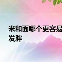 米和面哪个更容易让人发胖