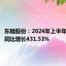 东睦股份:2024年上半年净利润同比增长431.53%