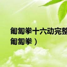 匍匐拳十六动完整版（匍匐拳）