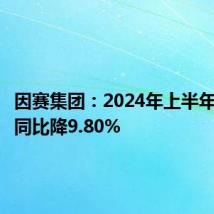 因赛集团:2024年上半年净利润同比降9.80%