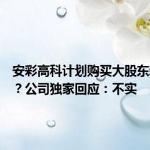 安彩高科计划购买大股东新资产?公司独家回应:不实