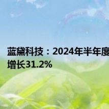 蓝黛科技:2024年半年度净利润增长31.2%