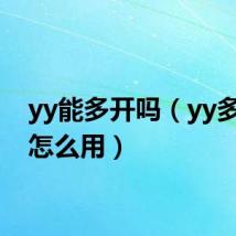 yy能多开吗（yy多开器怎么用）
