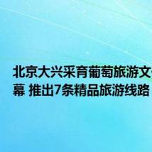 北京大兴采育葡萄旅游文化季开幕 推出7条精品旅游线路