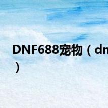 DNF688宠物(dnf688)