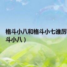 格斗小八和格斗小七谁厉害(格斗小八)