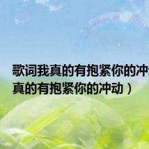 歌词我真的有抱紧你的冲动(我真的有抱紧你的冲动)