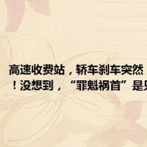 高速收费站,轿车刹车突然“失灵”!没想到,“罪魁祸首”是只甲鱼!