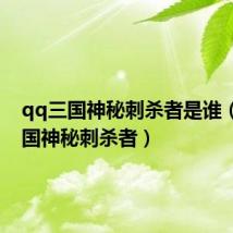 qq三国神秘刺杀者是谁（qq三国神秘刺杀者）