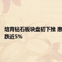 培育钻石板块盘初下挫 惠丰钻石跌近5%